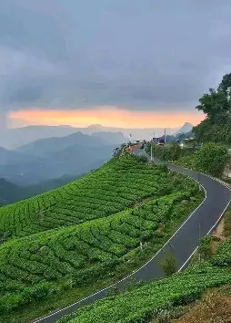 Explore Northeast India's Beauty with Hd Travels